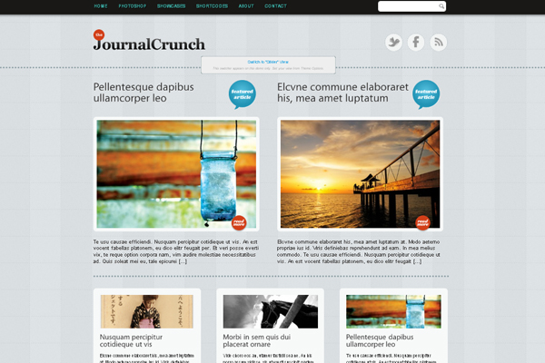 JournalCrunch WP theme