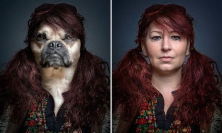 Dogs dressed like their owners by Sebastian Magnani