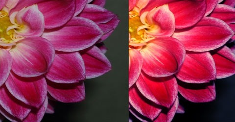 flower 70 Of The Best Photoshop Actions For Enhancing Photos