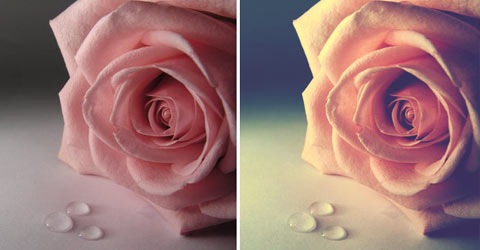 photoshopactionflower 70 Of The Best Photoshop Actions For Enhancing Photos