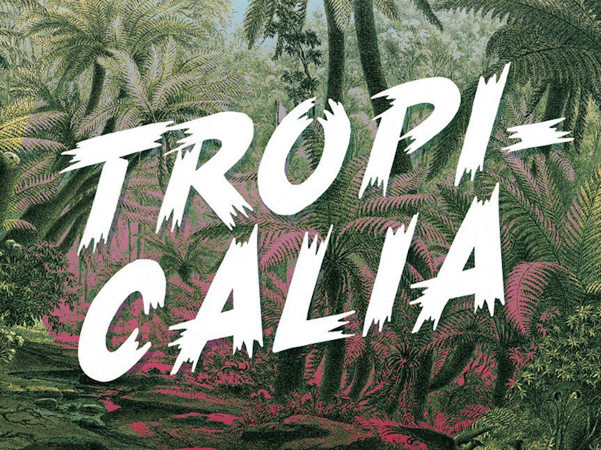 tropicalia-brush-typeface